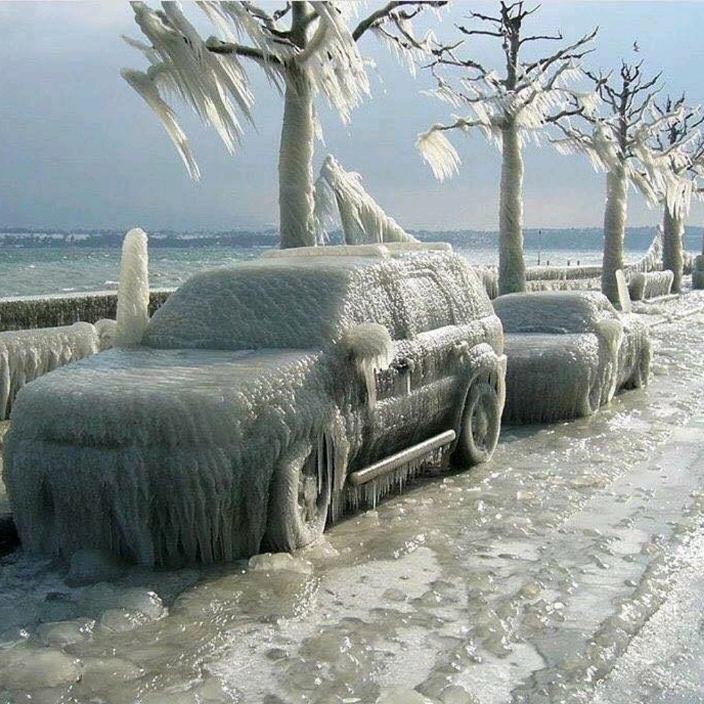 Meet your Posher, Hassan